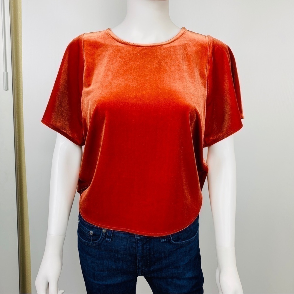 Madewell Sz S Velvet Butterfly Top